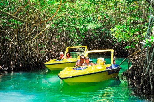 Jungle Tour with Snorkel in Cancun