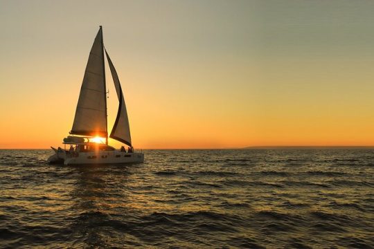 Luxury Sunset Sailing Cruise in the Riviera Maya with Light Dinner and Open Bar