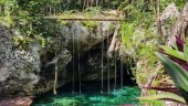 COBA and Cenote swim