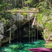 Private & Custom Tours
