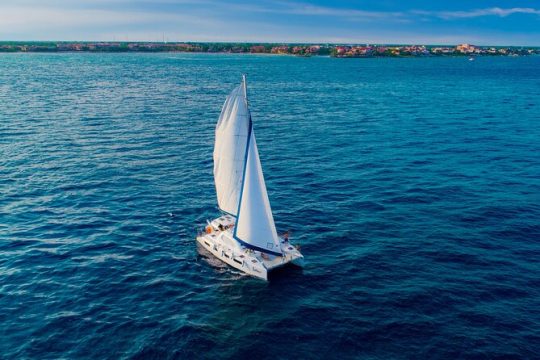 Riviera Maya Luxury Catamaran and Snorkeling, Lunch & Drinks Included