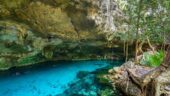 Beautiful Cenotes and Tulum 