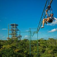 Ziplines
