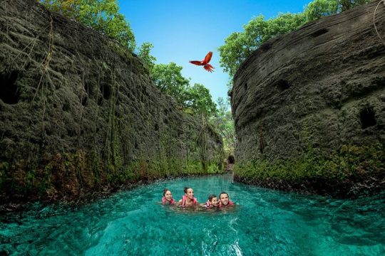 Priority Access: Xcaret Day Trip+ Night Show+ Transportation *Official Product*
