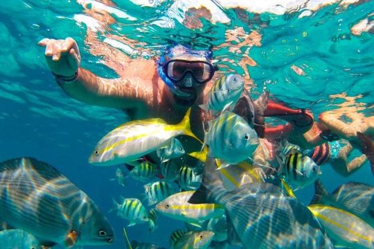 Isla Mujeres Catamaran with Snorkel, Open Bar & Buffet lunch
