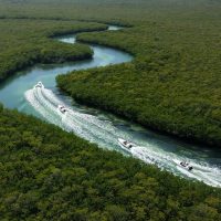 Jet Boats & Speed Boats