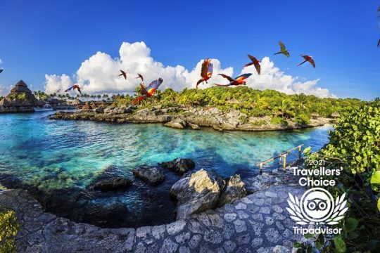 Xcaret Park Entry Ticket with Night Show included *Official Product*