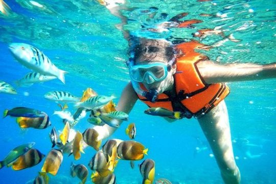Coral Reef Snorkeling with Lunch and Roundtrip Transportation in Puerto Morelos
