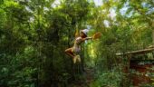 Jungle fun!!