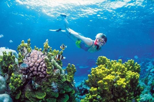 Snorkel, ATV, Zipline and Cenote Adventure from Cancun
