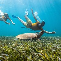 Snorkeling