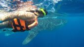 Private tour/boat is worth the extra money!