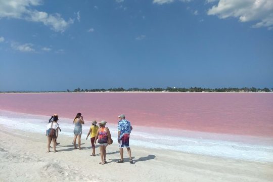 Full-Day Tour to Las Coloradas Pink Paradise in Yucatan and Rio Lagartos.