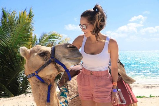 ENJOY UNIQUE CAMEL RIDE in Puerto Morelos with Transportation