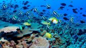 Snorling adventure in Puerto Morelos.