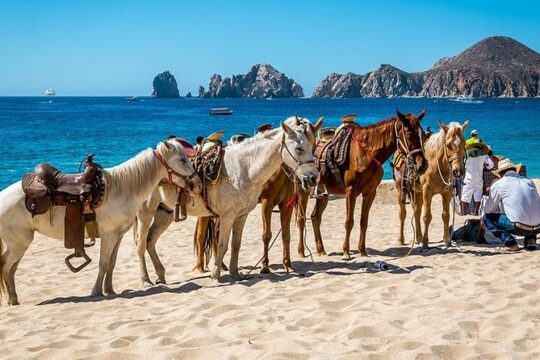 Cancun Airport Private Round Trip Transportation