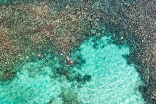 Puerto Morelos Catamaran Reef Sail and Snorkel