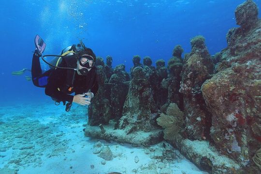 2 Tanks Dives Cancun Underwater Museum for Certified Divers