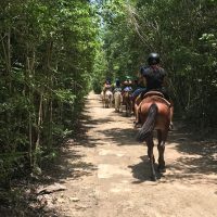 4WD, ATV & Off-Road Tours