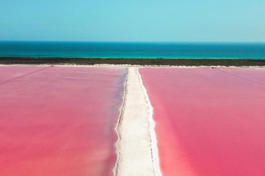 Discover the FABULOUS PINK WATERS in the Caribean (Las Coloradas+Río Lagartos)