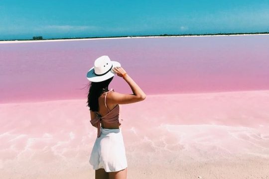 Discover the FABULOUS PINK WATERS in the Caribean (Las Coloradas+Río Lagartos)