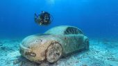 Diving Experience with Marin and Carolina