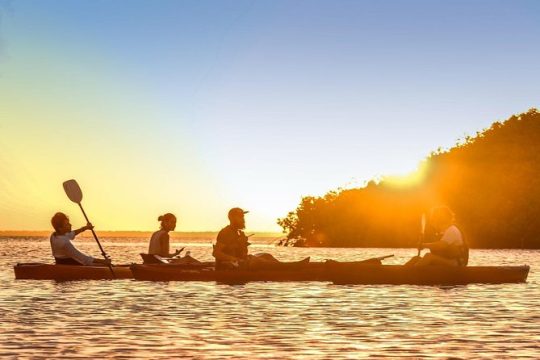 Kayak adventure through Laguna Nichupté in Cancun