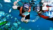 Amazing Snorkeling Experience
