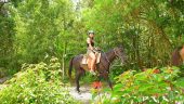 Great beginner friendly excursion 