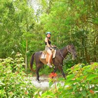 Horseback Riding
