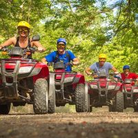 Holiday & Seasonal Tours