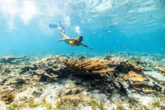 Snorkeling & Jet Sky Trip