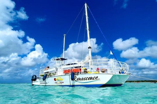 Private Yacht 46ft Sea Ray Snorkel up to 15 pax 23P2