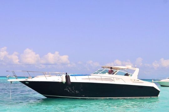 Private Yacht 46ft Sea Ray Snorkel up to 15 pax 23P2