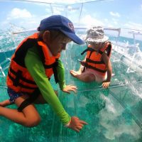 Glass Bottom Boat Tours