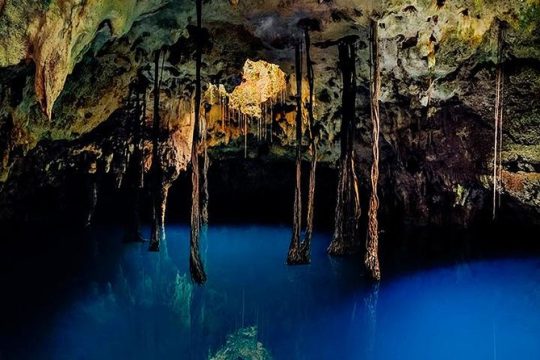 Sacred Adventure at Xenotes! 4 Different Cenotes + Round Transportation