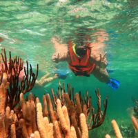 Holiday & Seasonal Tours