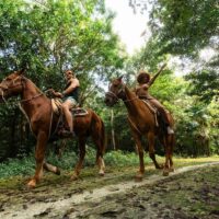Shore Excursions