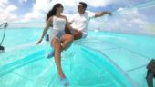 Best way to see sea turtles in Cancun!
