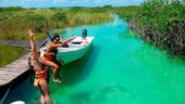 Dolphin trip