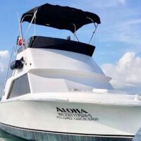 Fishing Charters & Tours