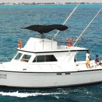 Fishing Charters & Tours