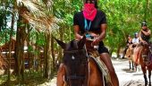 Horseback Ride in the Jungle with Cenote swim. Loved it.