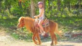 Very Fun Excursion, Highly Recommended!