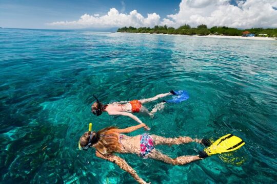Snorkel at the beautiful Puerto Morelos Reef, Lunch & transport