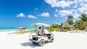 Great discovery of the wild holbox