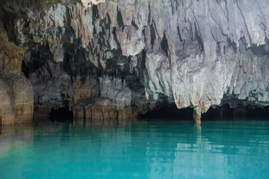 Tulum ruins, Swim with turtles and Cenote from Riviera Maya