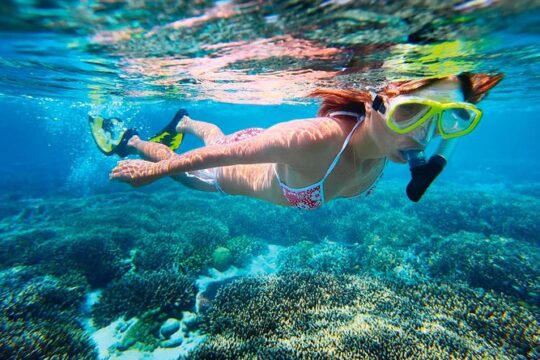 Snorkel Experience In Cancun! Round Transportation