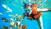 Awesome Snorkeling 