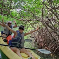 Cruises, Sailing & Water Tours